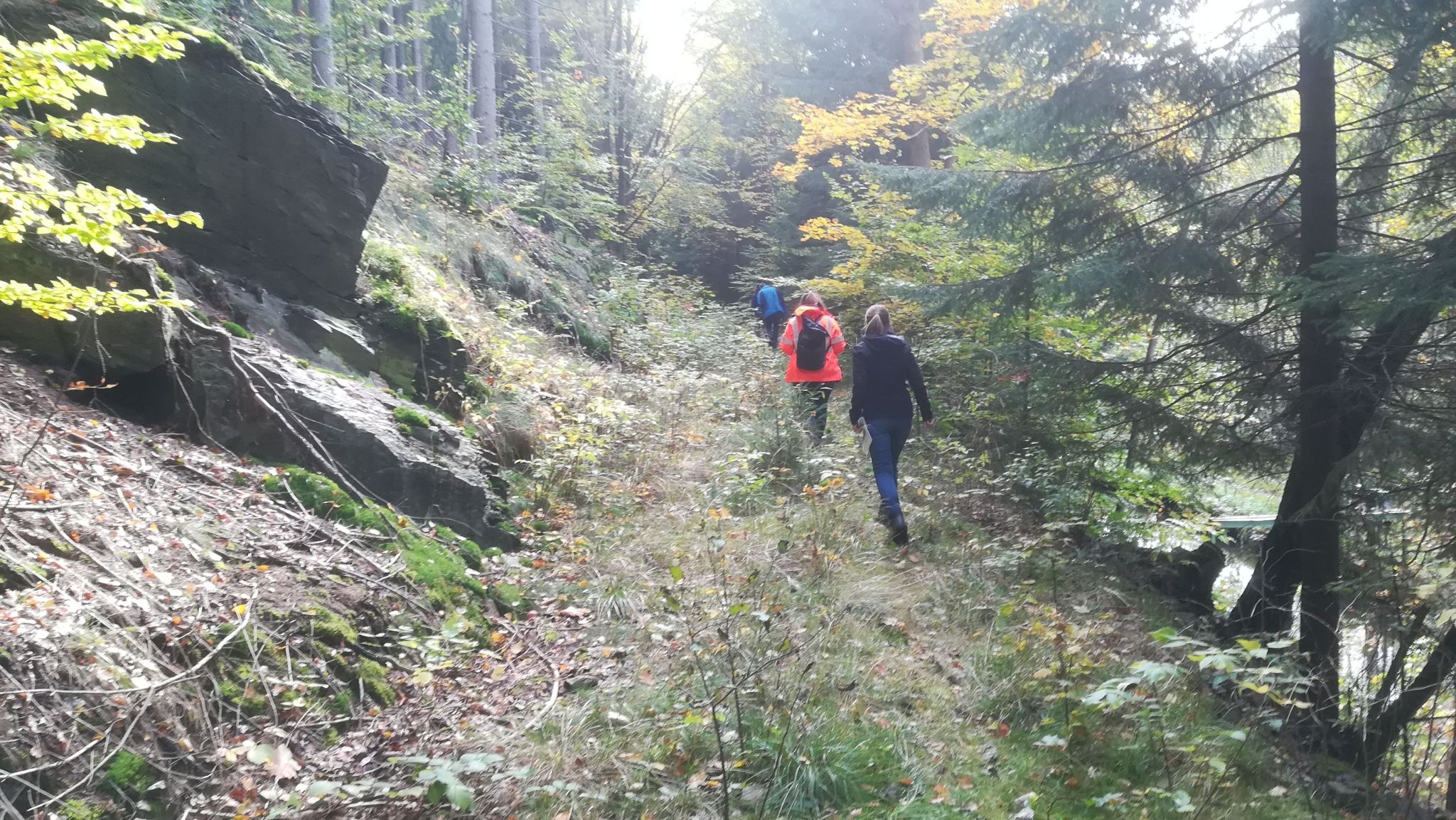 Neues Projekt: Waldradweg